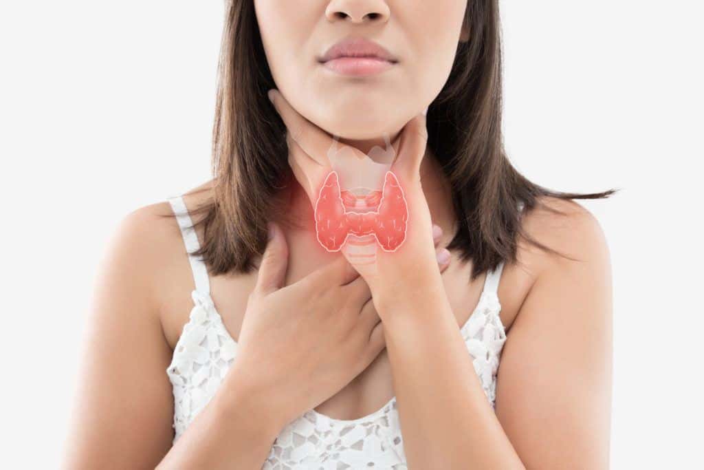 The Importance of the Thyroid