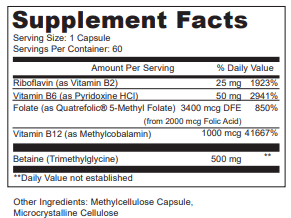 NL-PMETHYL60 - Facts Back